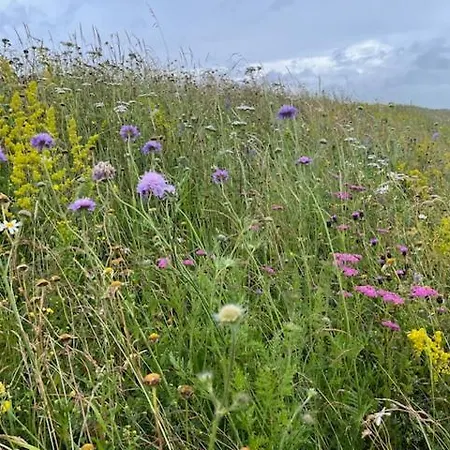 La Maillerie * Busserolles