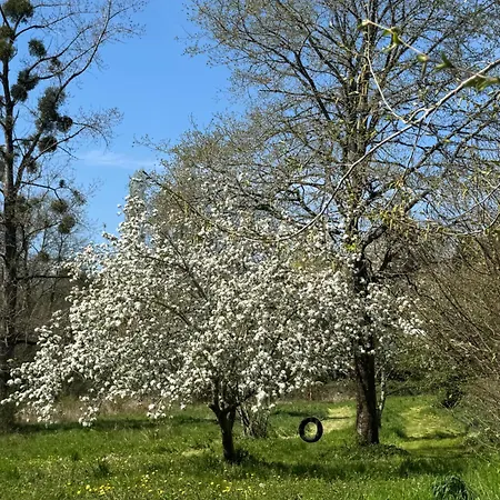 La Maillerie * Busserolles