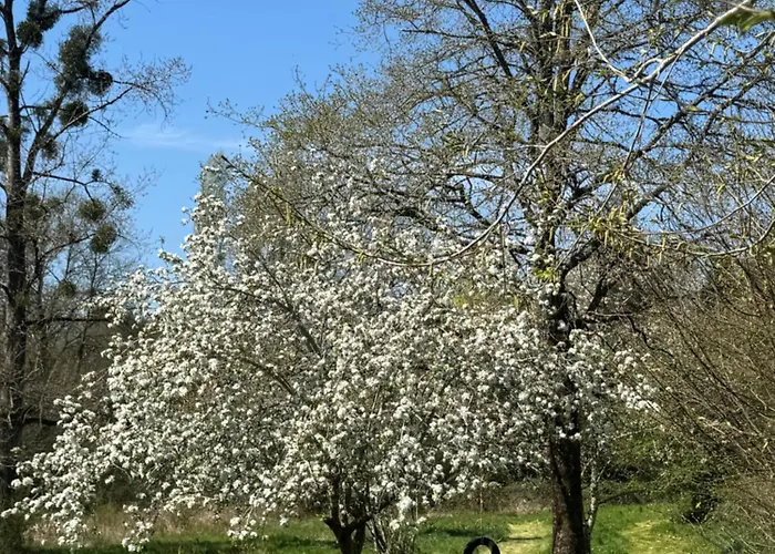 La Maillerie * Busserolles